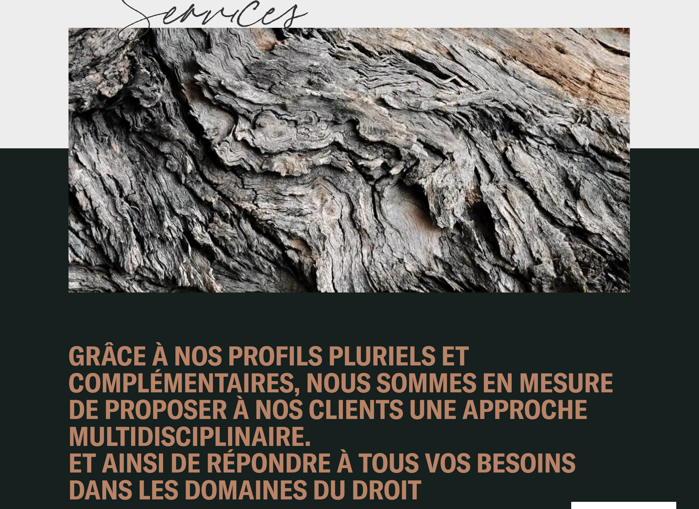 Les services d'Arborescence Avocats