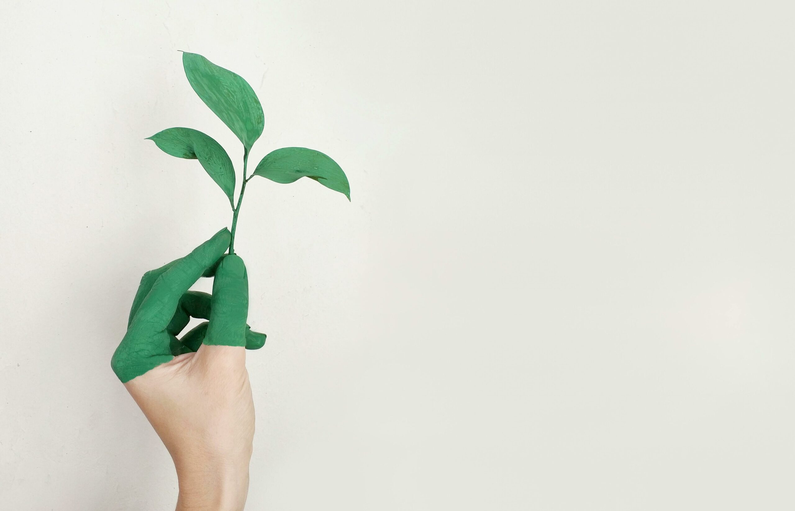 6 mois de SEO avec BL NK : Retour d&rsquo;expérience sur 7 accompagnements
